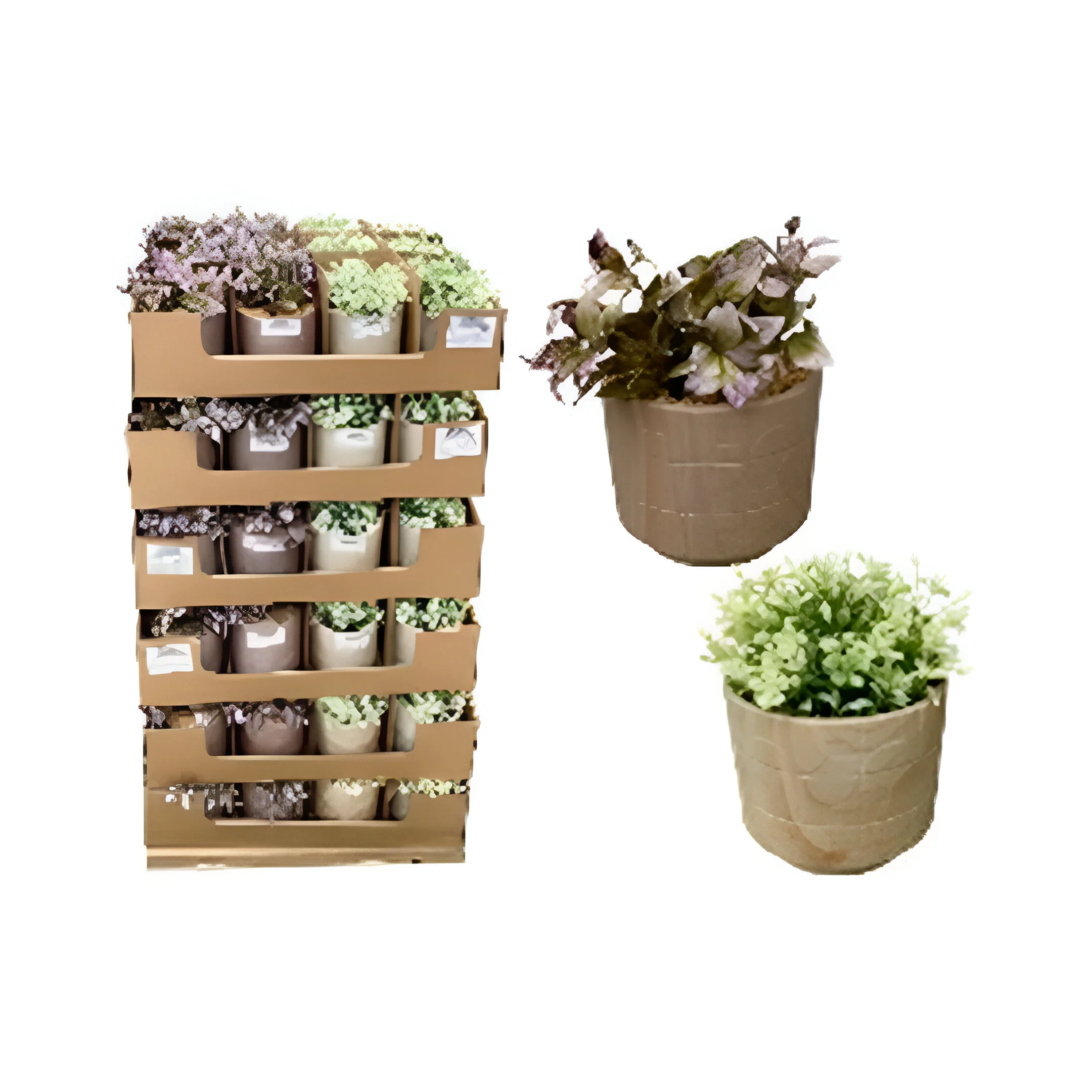 PLANTA ARTIFICIAL 14X14X18CM  718-2403115 CREMA/CHOCOLATE,GRIS/CHOCOLATE/MORADO