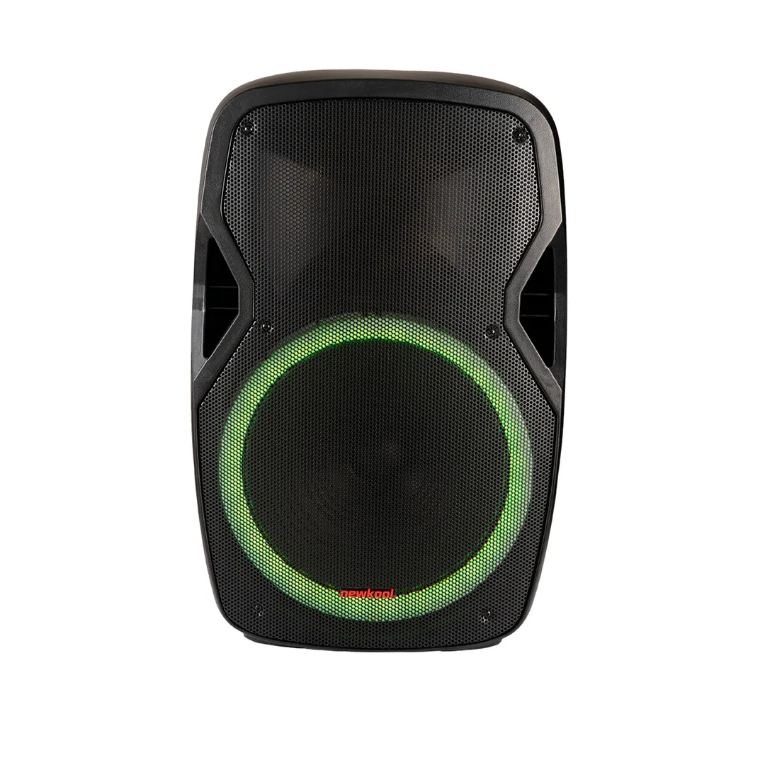 CORNETA NEWKOOL NKCO157MI 15" PARAL MICROFONO INALAMBRICO 30W